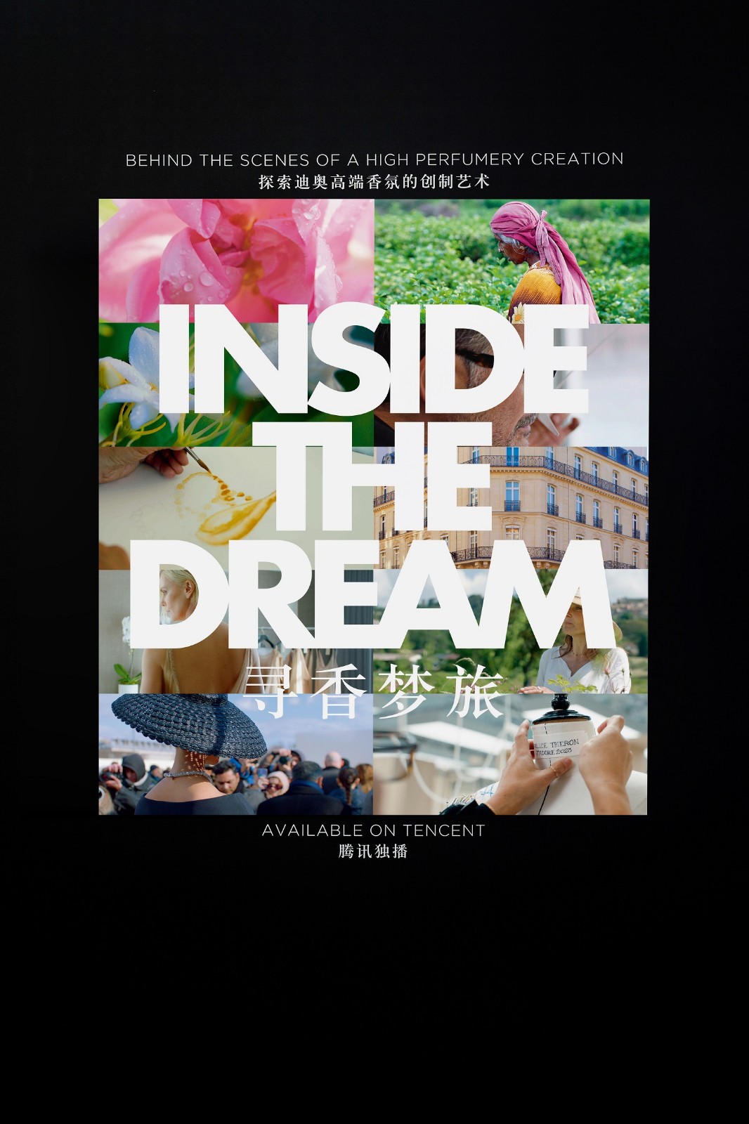 1765786286599870.jpg 6.jpg