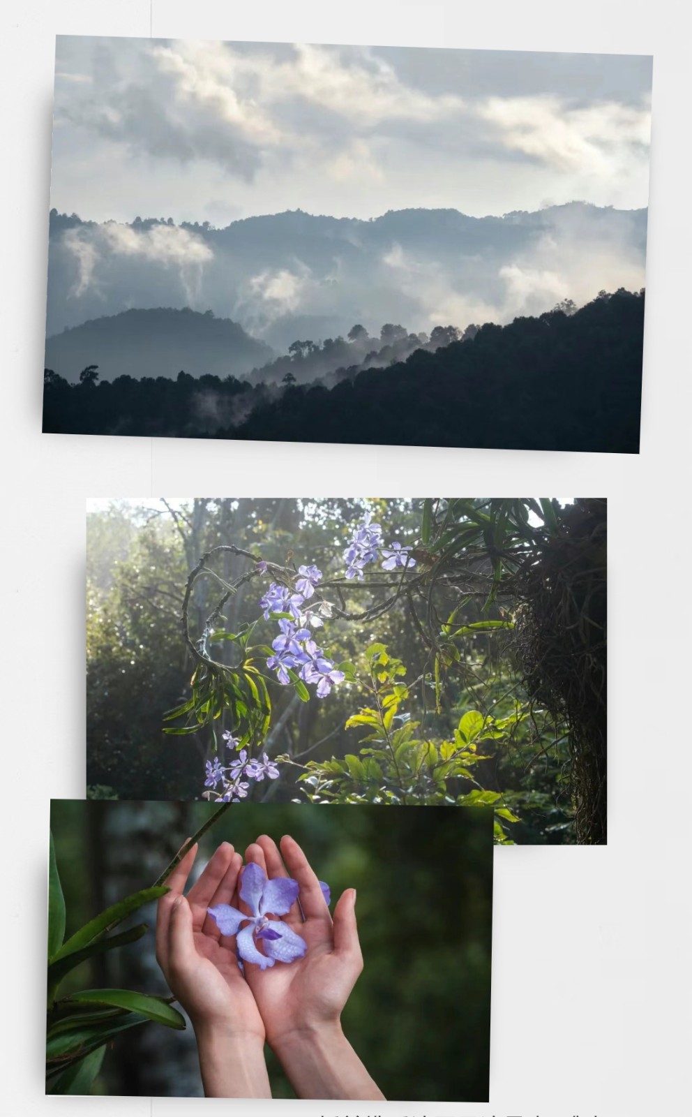 1765786808773413.jpg 微信图片_20251215161457.jpg