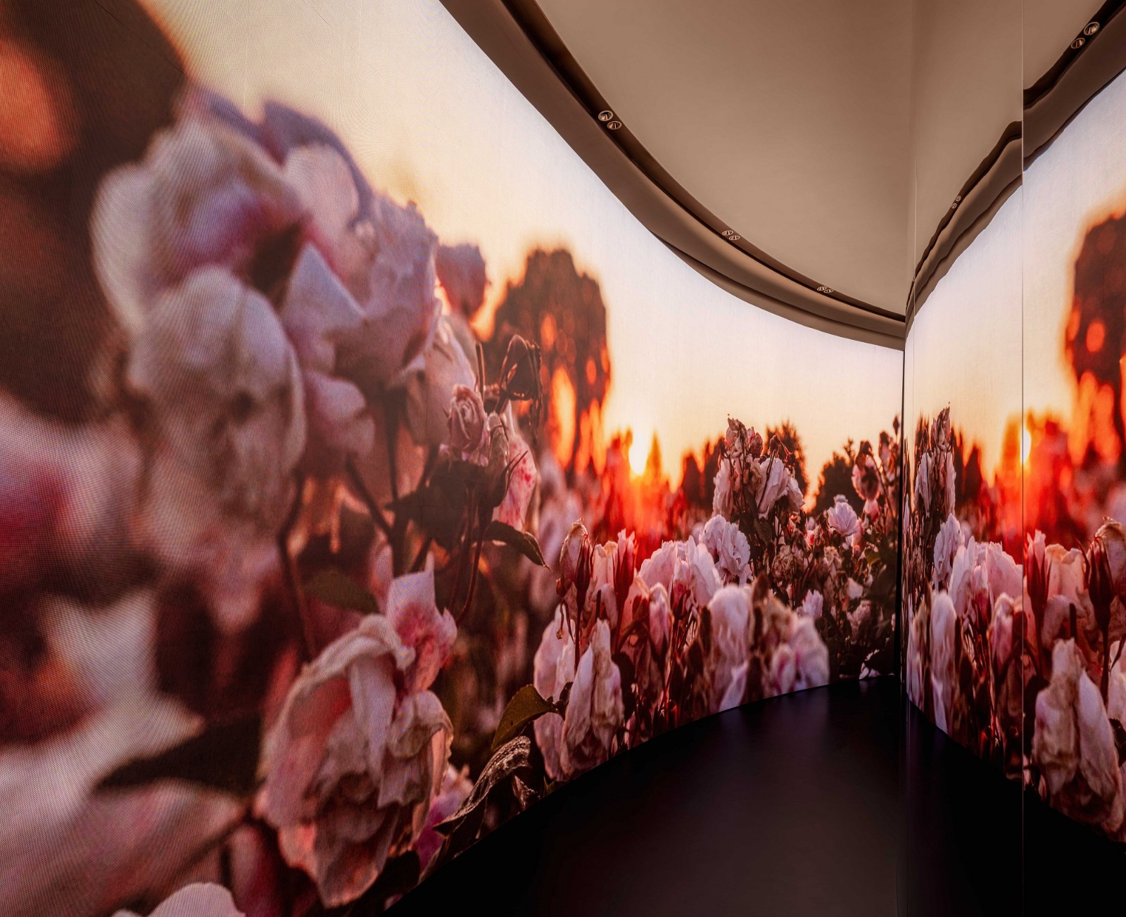 1784002295542185.jpg 迪奥花秘匿龄限时展 4.jpg